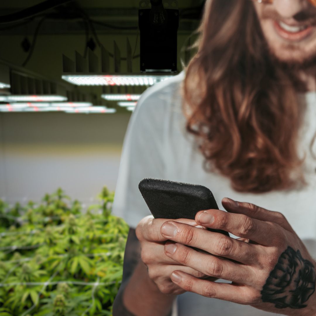 C-Container Anbaufläche mit App