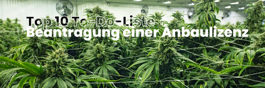 Top 10 To-Do-Liste für die Beantragung einer Anbaulizenz nach dem Cannabisgesetz (KCanG) - C-CONTAINER